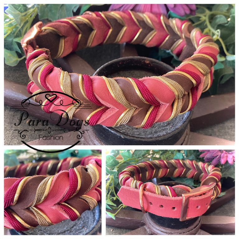 Fettlederhalsband, verziert mit Paracord