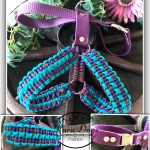 Hundegeschirr, Paracord mit Hexa-Gurtband gemixtHundegeschirr