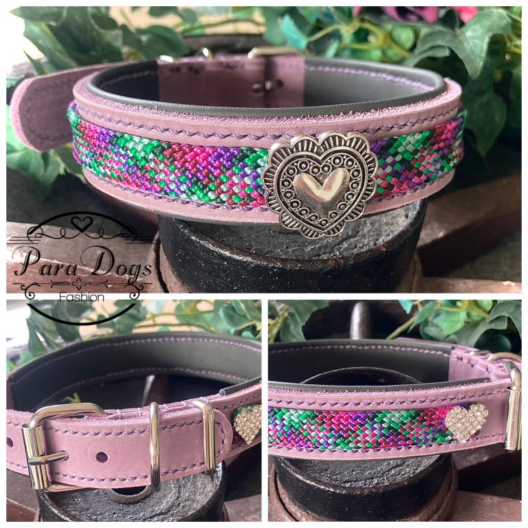 Fettleder Halsband mit PPM Seil