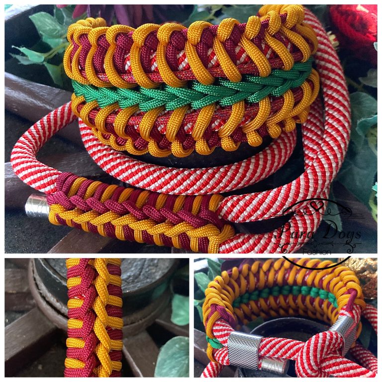 Retrieverleine, mit breitem Halsband