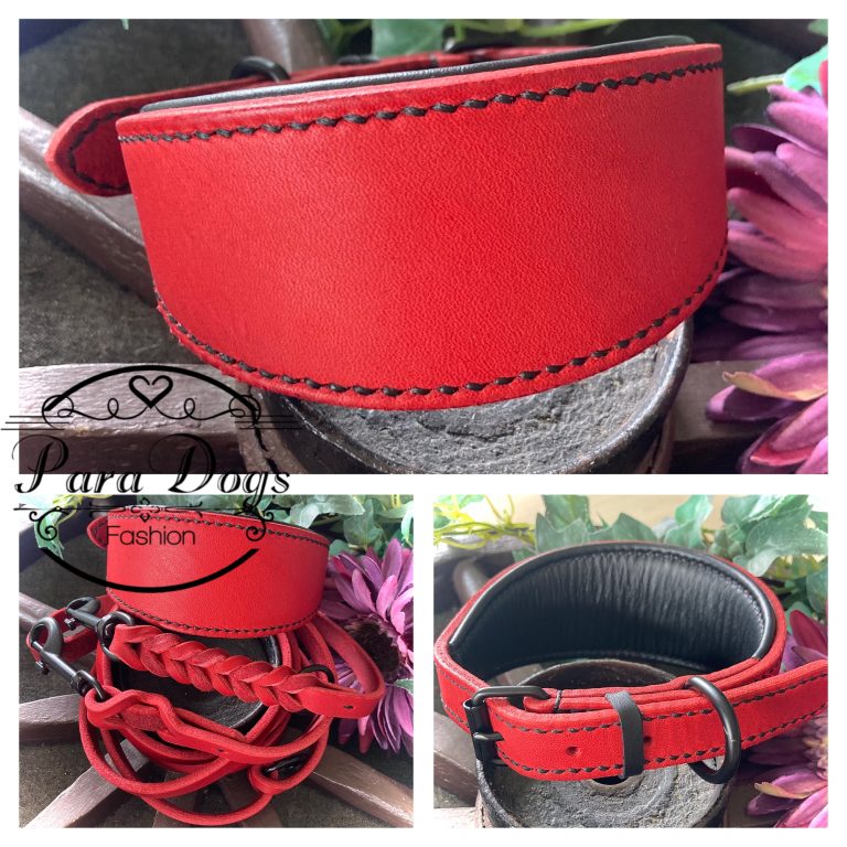 Fettlederhalsband mit Zugstopp