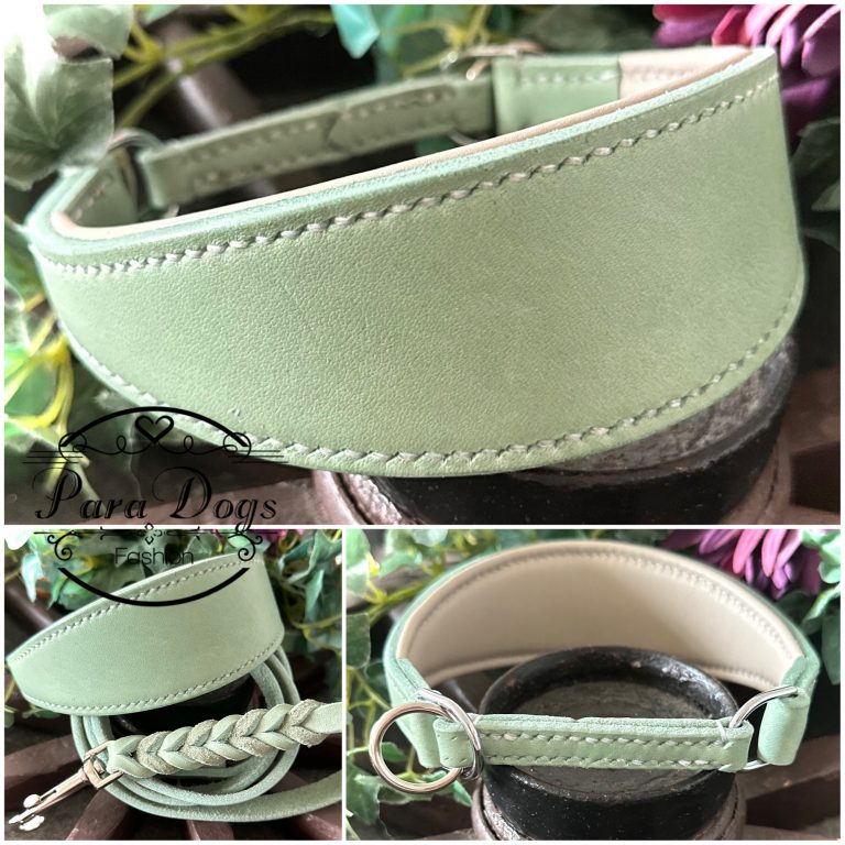 Fettlederhalsband mit Zugstopp